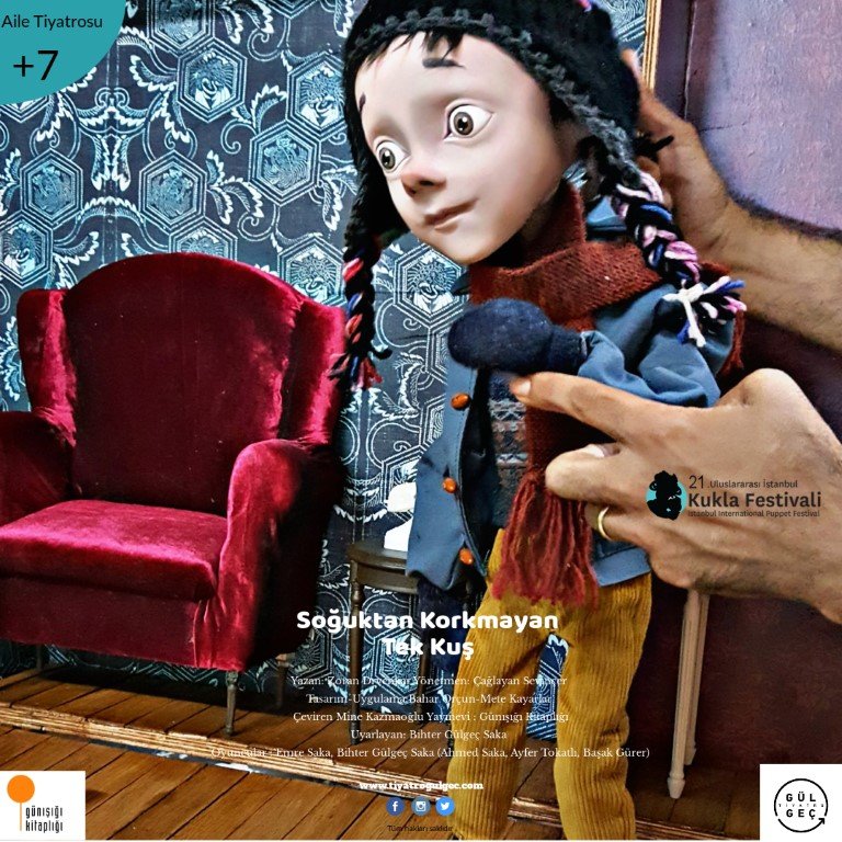 Soğukta Korkmayan Tek Kuş