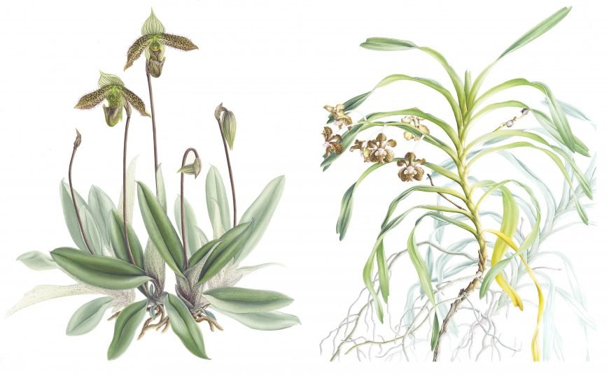 Evin Sanat Galerisi Sergisi