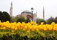 İstanbul Lale Festivali