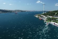 Kıtalararası Yüzme Yarışı