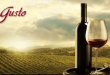 Gusto Şarap Kursları