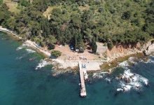 Vegan Beslenme Kampı