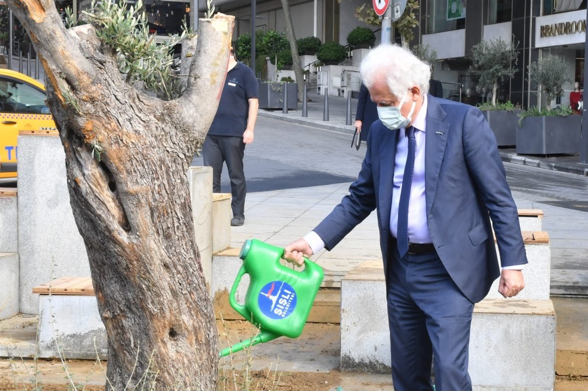 şişli belediye başkanı muammer keskin, asırlık zeytin ağacı dikti