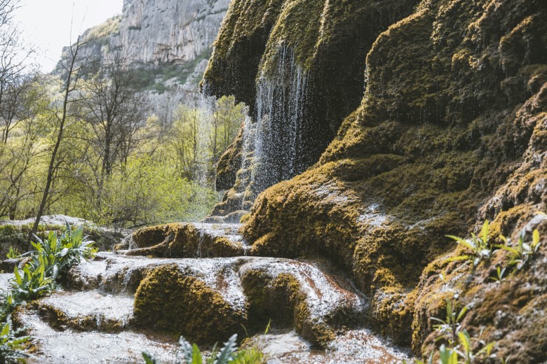 luslararası Yemek Festivali