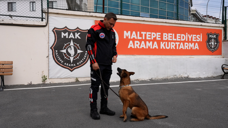 arama-kurtarma köpeği