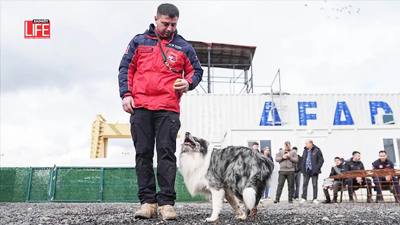 Evdeki can dostları arama kurtarma görevine hazırlanıyor