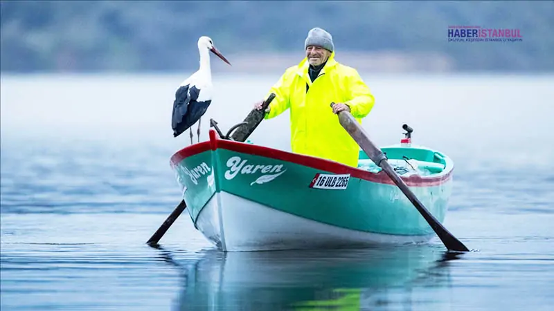 Yaren leylek göl manzaralı yuvasının bulunduğu Bursa’ya 15’inci yılında da geldi
