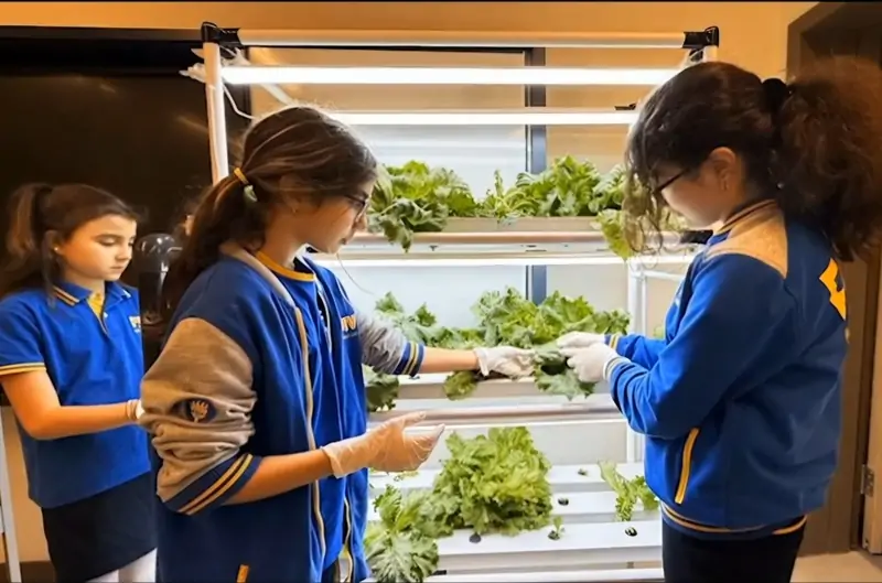 İstanbul’daki ortaokul öğrencileri maruldan şampuan geliştirdi