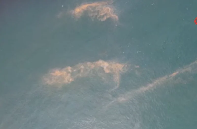 Avcılar kıyılarında korkutan görüntü