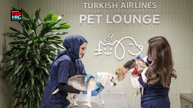 THY’den evcil hayvanlara İstanbul Havalimanı’nda özel salon hizmeti